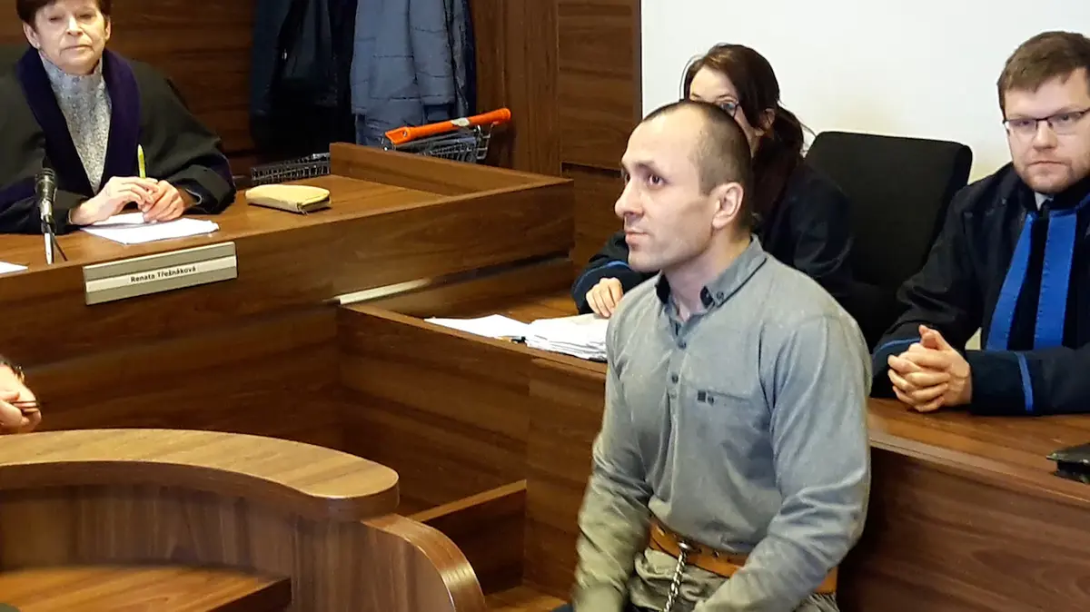 M14 CHKO Brdy Jindichova skla (Identifiktor v seznamu klovch lokalit Tvo je rychl stdn drobovch a kemennch pskovc, drob, prachovc a Brdy Geopark Barrandien